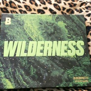 Beauty Bay Wilderness palette